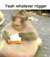 17421631008190.mp4