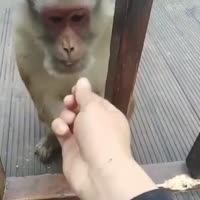 17468158509440.mp4