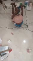 175190211879575484.mp4