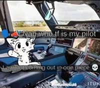 2ykn6bdl9pje1.jpeg