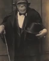 17466967604573.mp4