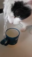 17498400177850.mp4