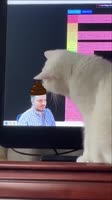 1000038076.mp4