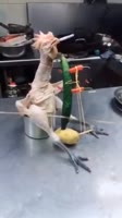 osong.mp4