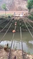 17483451249340.webm