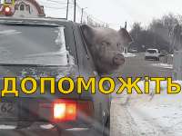 1620310827353.png