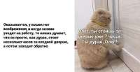 9a4aa43cd3a8fc9c10e8fb2aef255dcdb6eb8899.jpg