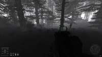 ssplayer07-09-2515-34-59(l10redforest).png