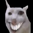 ctmn.png