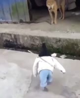 16450358896620.mp4