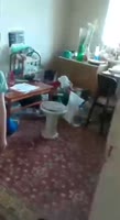 16180557918300.mp4