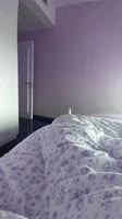 16921160625750.mp4