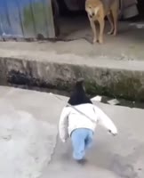 1ad26c3e339441f987756945cf00b621.mp4