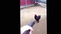 ee44bf591310c9788f70380298b0b110.webm