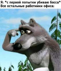 17519560867050.jpg