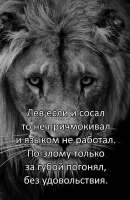 IMG20250710084317312.jpg