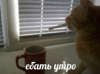 6b3eb9e1-28e0-43b8-a006-33e45b3da811.jpg