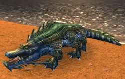 66572-snapjaw-crocolisk.jpg