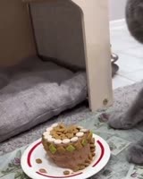 17007246898620.mp4