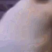 hu.gif
