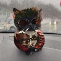 17457807858070.webp