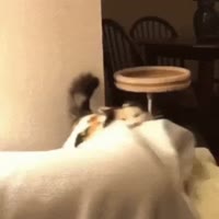 1752297605318.webm