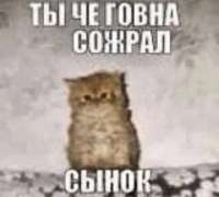 17235339494000.png