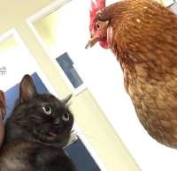 IMG1628.jpeg