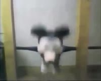 16001256665070.mp4