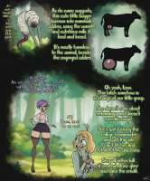 2 (31).webp