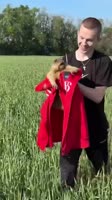 Видео,которое поднимет вам настроение 😂 #рекомендации #животные #юмор.mp4