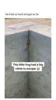 17347784072640.mp4