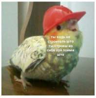 16603583398610.jpg