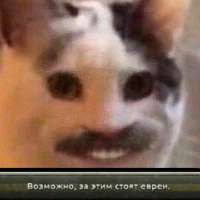 17513901555850.jpg
