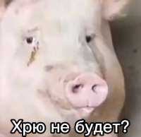 17418128762810.jpg