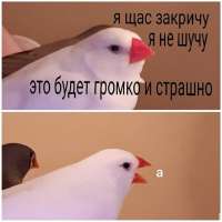 16862161454872.jpg