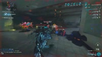 .mp4