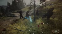 .mp4