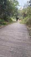 17493022350950.mp4