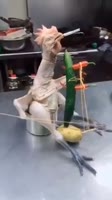 17519870466290.mp4