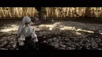 17476808949690.webm