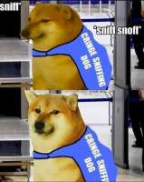 1739932759846472.jpg