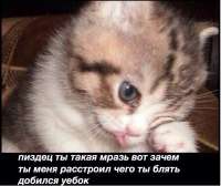 гифки-цыпленок-потягушки-3495280.jpeg