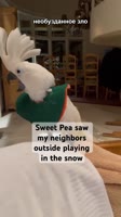 1753013672956.mp4