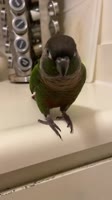 1753359544321.mp4