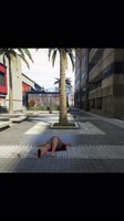 1755057611526.mp4