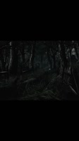 1755388164224.mp4