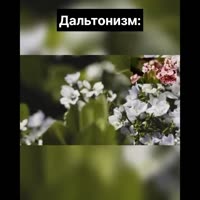 17547593593572.mp4