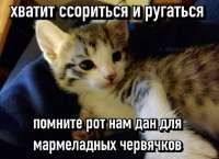 a3d1367b9aec4be90830f4699af55edb.jpg
