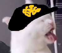 xdfvbg.png